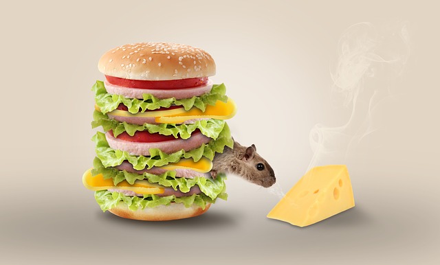 Myš v hamburgeru
