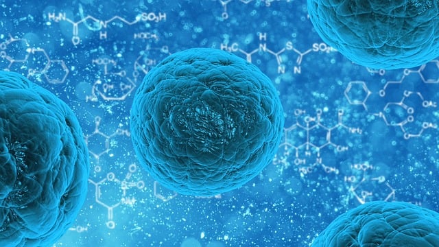 Koronavirus obtěžoval každého. 